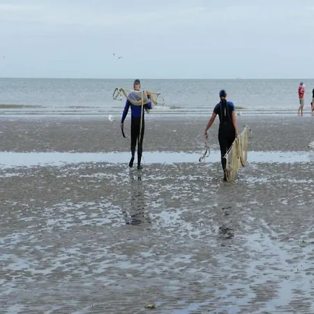 In Near The Koksijde